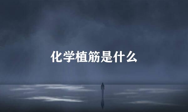 化学植筋是什么