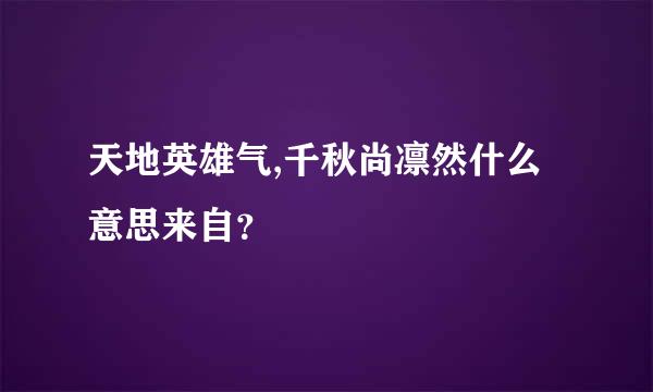 天地英雄气,千秋尚凛然什么意思来自？