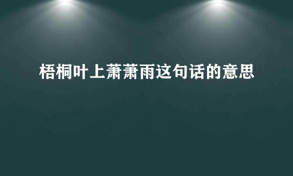 梧桐叶上萧萧雨这句话的意思
