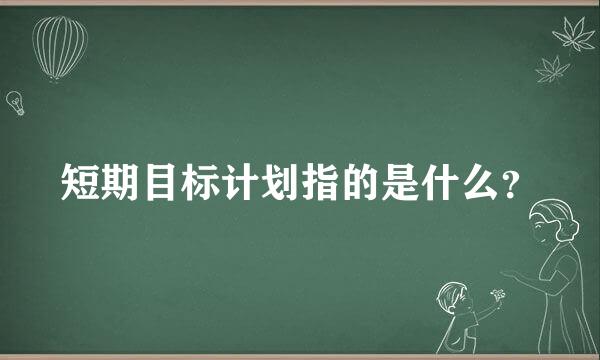 短期目标计划指的是什么？
