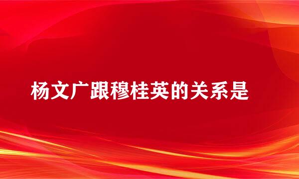 杨文广跟穆桂英的关系是﹖