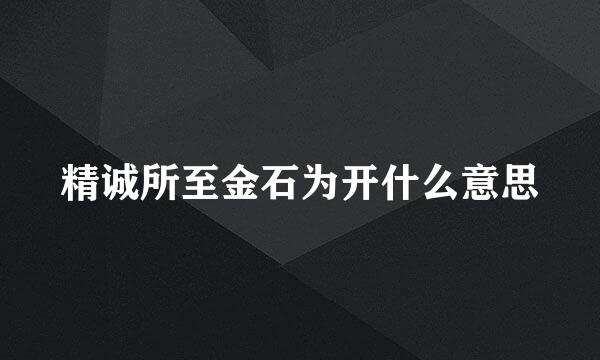 精诚所至金石为开什么意思