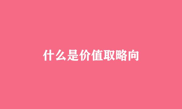 什么是价值取略向