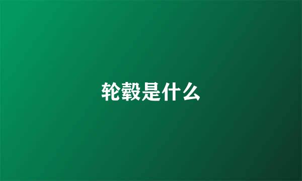轮毂是什么