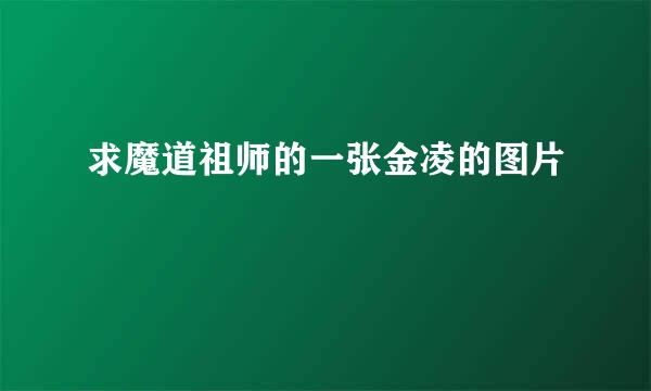 求魔道祖师的一张金凌的图片