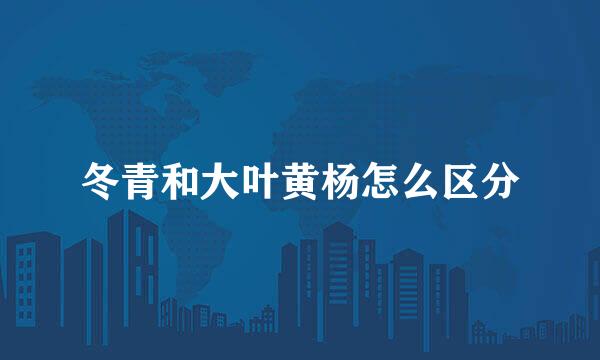 冬青和大叶黄杨怎么区分