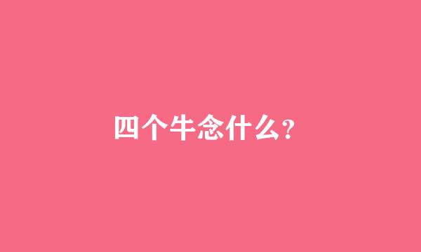 四个牛念什么？