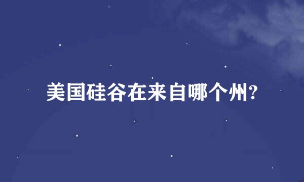 美国硅谷在来自哪个州?
