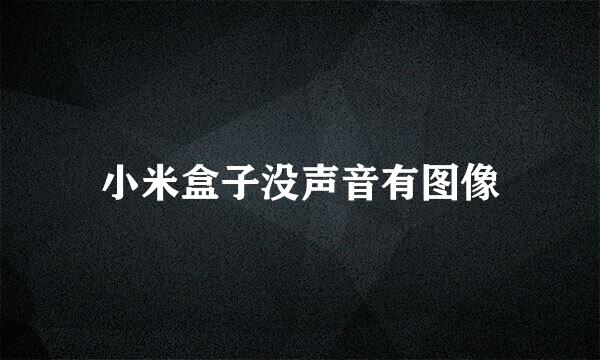 小米盒子没声音有图像