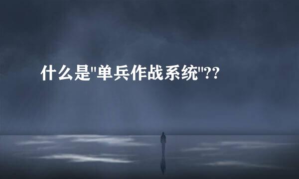 什么是