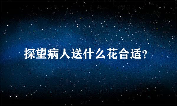 探望病人送什么花合适？