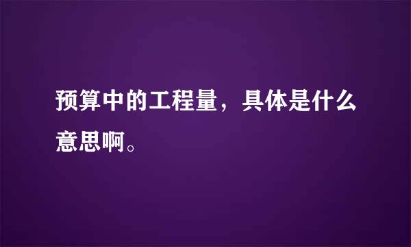 预算中的工程量，具体是什么意思啊。
