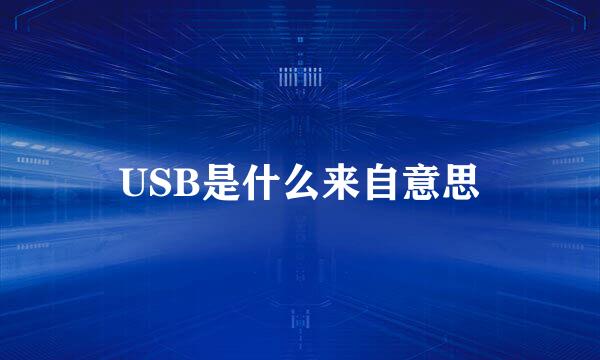 USB是什么来自意思