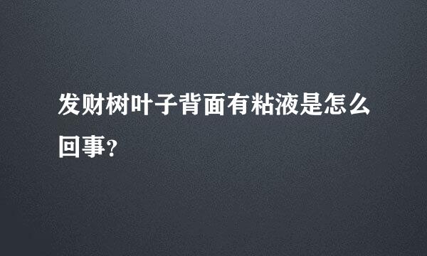 发财树叶子背面有粘液是怎么回事？