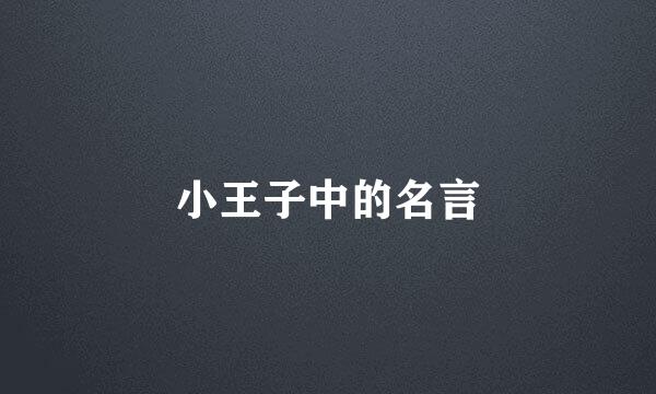 小王子中的名言