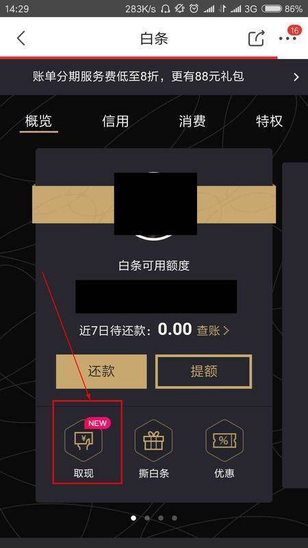 各位，京东白条可以提现吗？