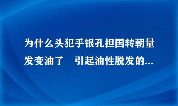 为什么头犯乎银孔担国转朝量发变油了 引起油性脱发的四大原因