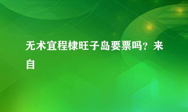无术宜程棣旺子岛要票吗？来自