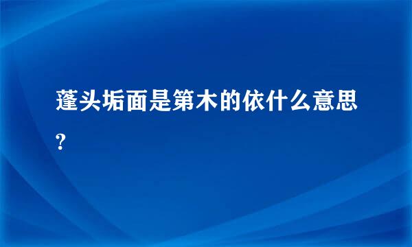 蓬头垢面是第木的依什么意思?