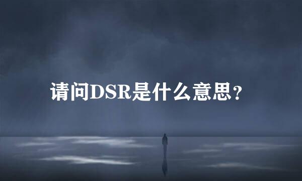 请问DSR是什么意思？