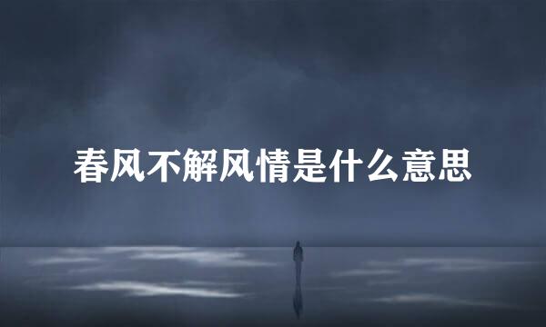 春风不解风情是什么意思