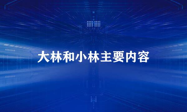 大林和小林主要内容