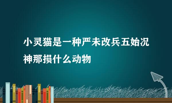 小灵猫是一种严未改兵五始况神那损什么动物