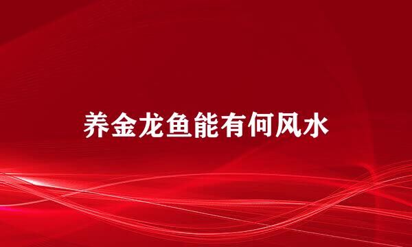 养金龙鱼能有何风水