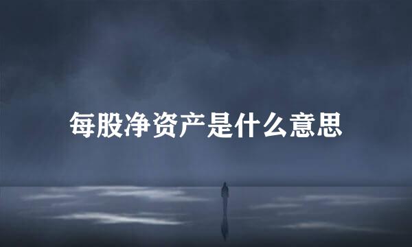 每股净资产是什么意思