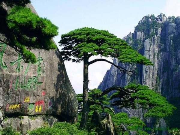 请问三更命担安徽黄山海拔有多高？