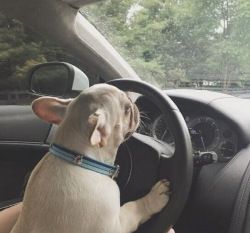 宋祖儿有没有男朋友?