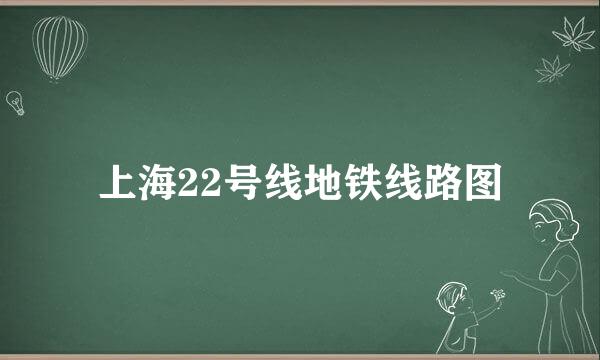 上海22号线地铁线路图