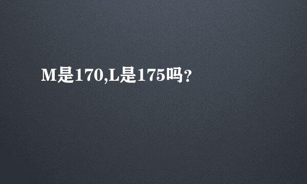M是170,L是175吗？