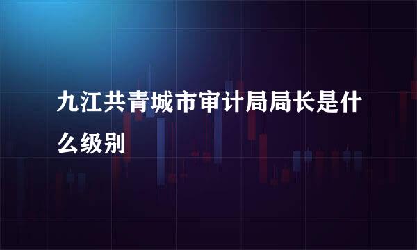 九江共青城市审计局局长是什么级别