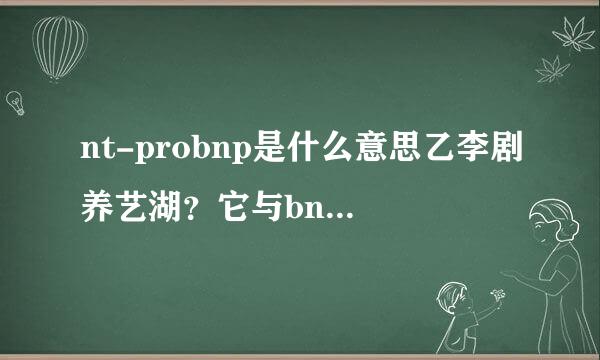 nt-probnp是什么意思乙李剧养艺湖？它与bnp有什么区别