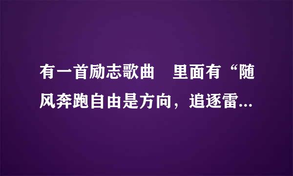 有一首励志歌曲 里面有“随风奔跑自由是方向，追逐雷和闪电的力量” 请问这是什么歌？