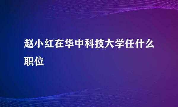 赵小红在华中科技大学任什么职位