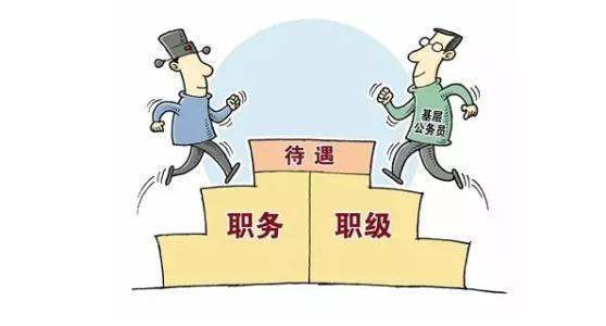 职级怎么填？