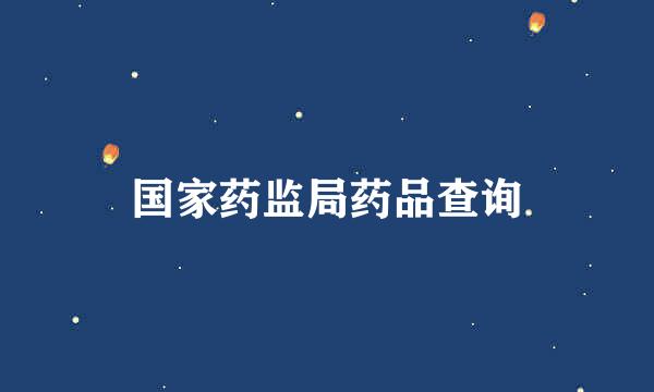 国家药监局药品查询