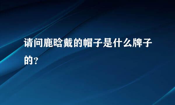 请问鹿晗戴的帽子是什么牌子的？
