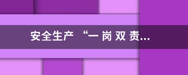 安全生产 “一 岗 双 责 ”的主要 内容是什么