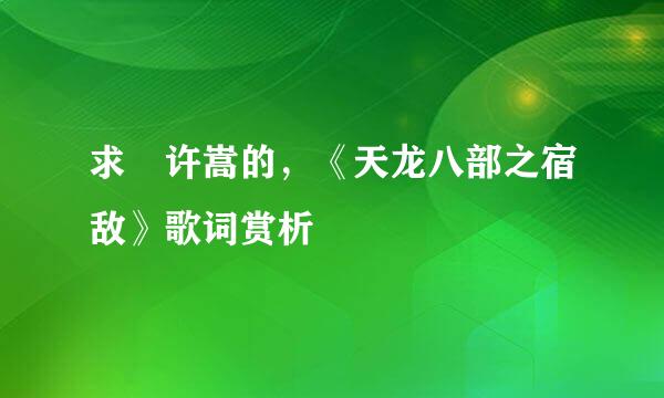 求 许嵩的，《天龙八部之宿敌》歌词赏析