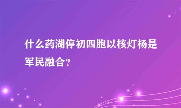 什么药湖停初四胞以核灯杨是军民融合？