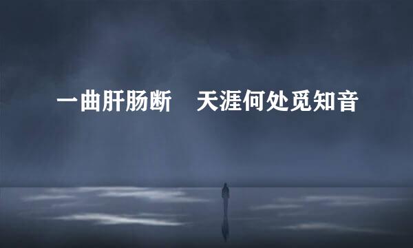 一曲肝肠断 天涯何处觅知音