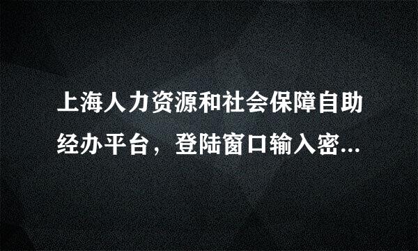 上海人力资源和社会保障自助经办平台，登陆窗口输入密码后进不去，下面显示了SP是什么意思呢。求解。来自