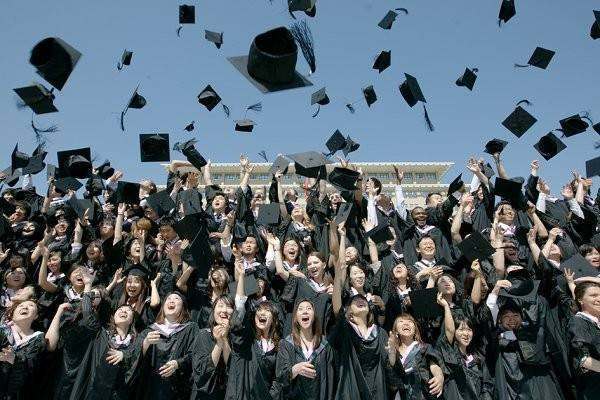 民段朝露办大学本科学历在学信网上能查到吗？