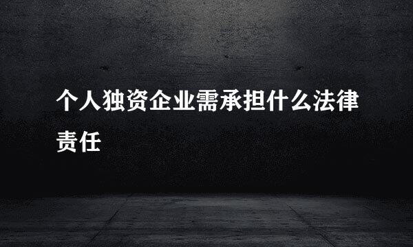 个人独资企业需承担什么法律责任