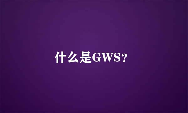 什么是GWS？