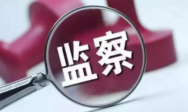 公职人员政务处分暂行规定