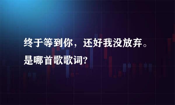 终于等到你，还好我没放弃。是哪首歌歌词?